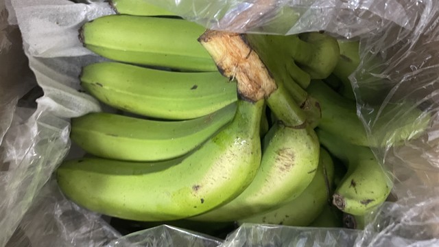 淘宝买的香蕉还没熟